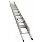 Triple Extension Ladder ( TE )